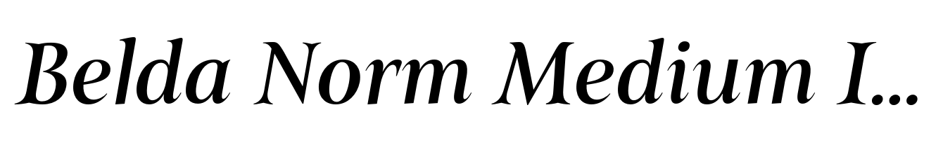 Belda Norm Medium Italic